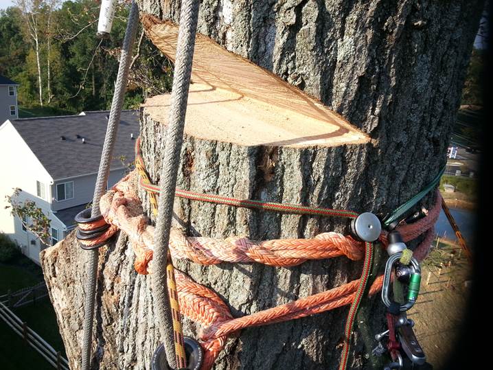 18mm Polysteel Rope x 15 Metres Lowering Arborist Rigging Tree Surgery Rope 